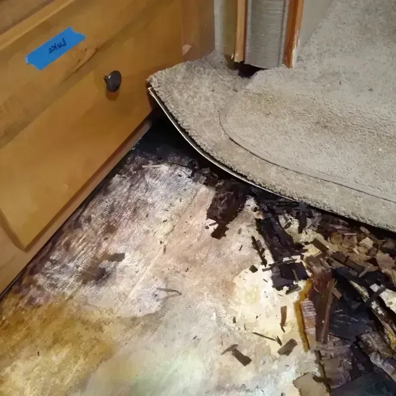 Wood Floor Water Damage in Melbourne, FL